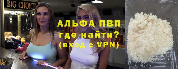 стаф Абинск