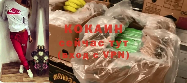 стаф Абинск